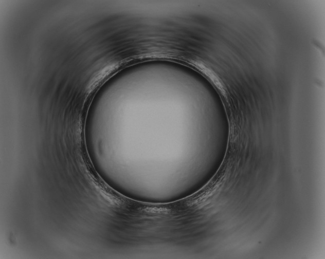 X0000092060437200710101037