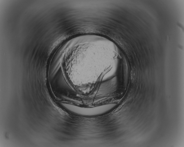 X0000092060438200710101037