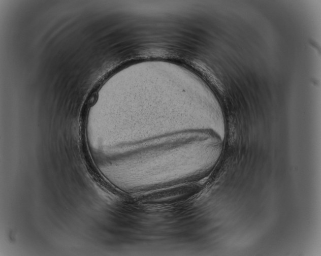 X0000092060439200710101037