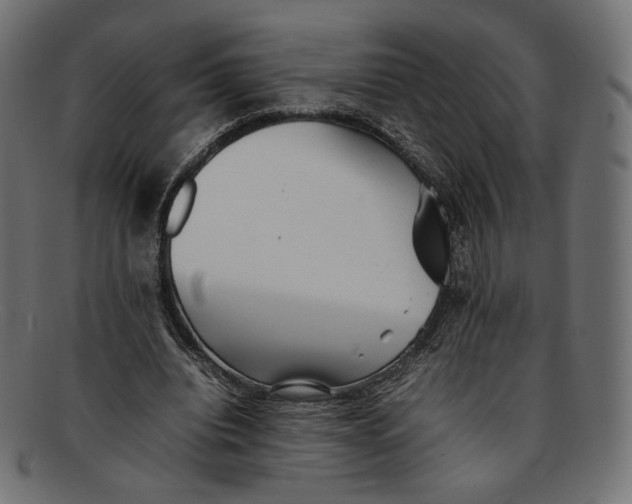 X0000092060440200710101037