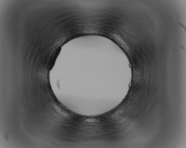 X0000092060441200710101037