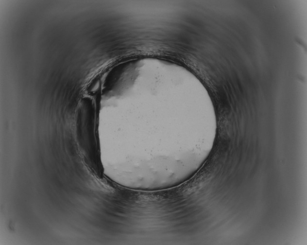 X0000092060442200710101037