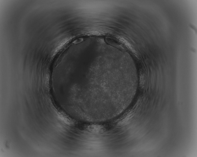 X0000092060444200710101037