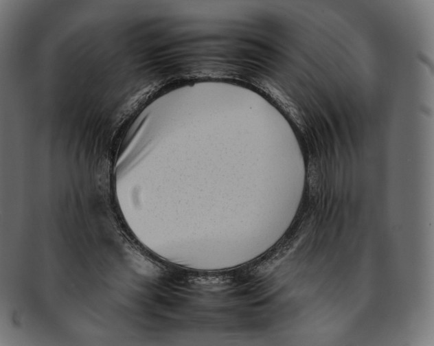 X0000092060445200710101037