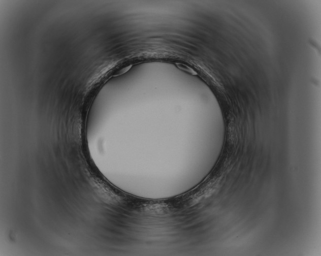 X0000092060446200710101037