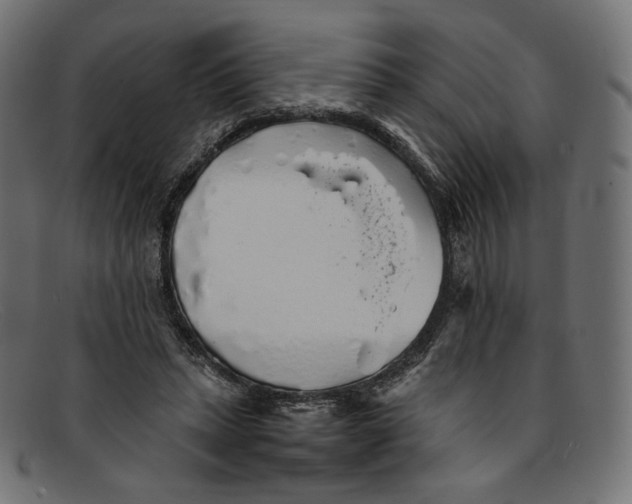 X0000092060447200710101037