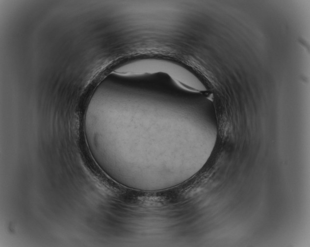 X0000092060448200710101037