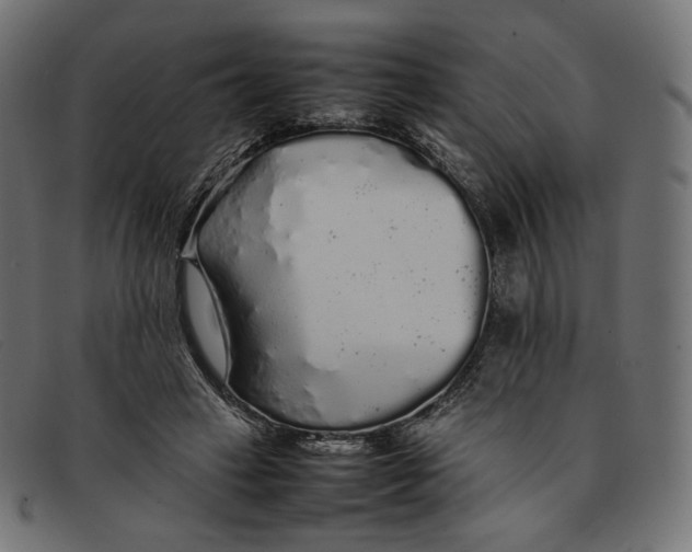 X0000092060449200710101037