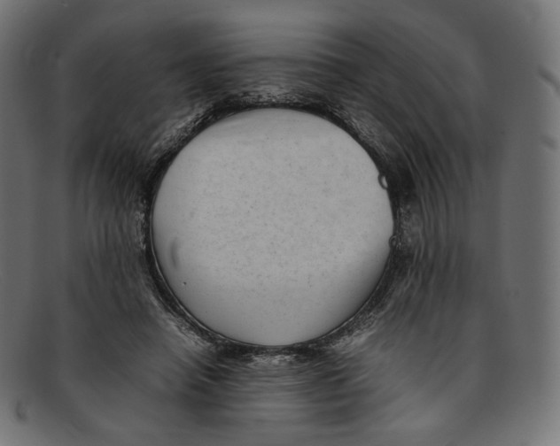 X0000092060450200710101037