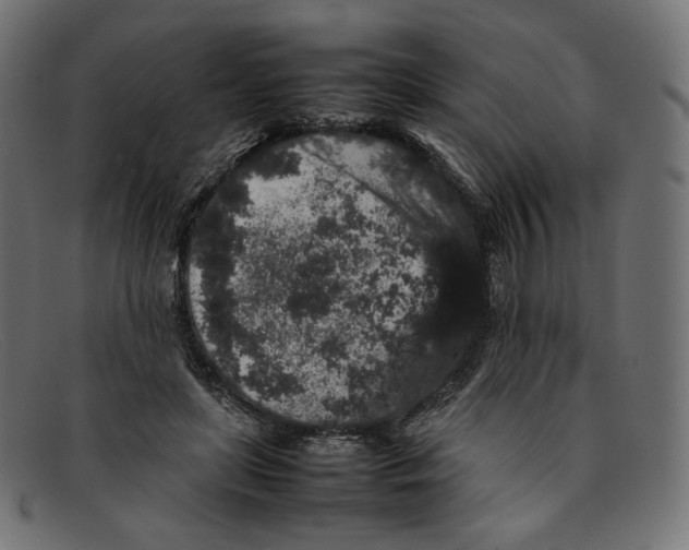 X0000092060451200710101037