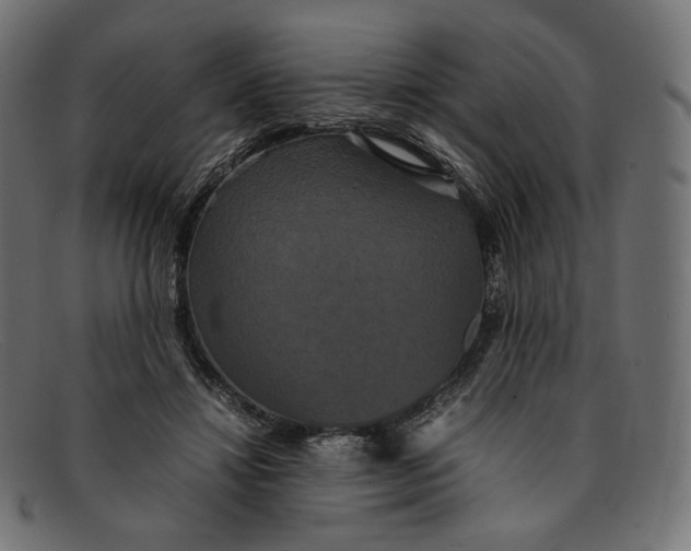 X0000092060452200710101037