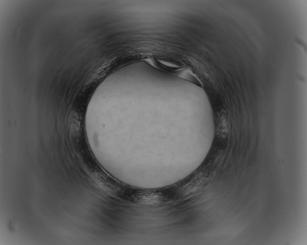 X0000092060456200710101037