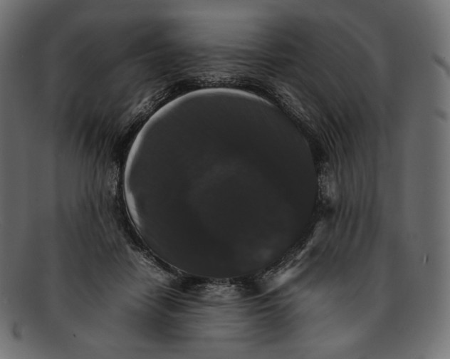 X0000092060458200710101037