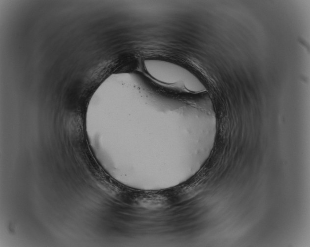 X0000092060459200710101037