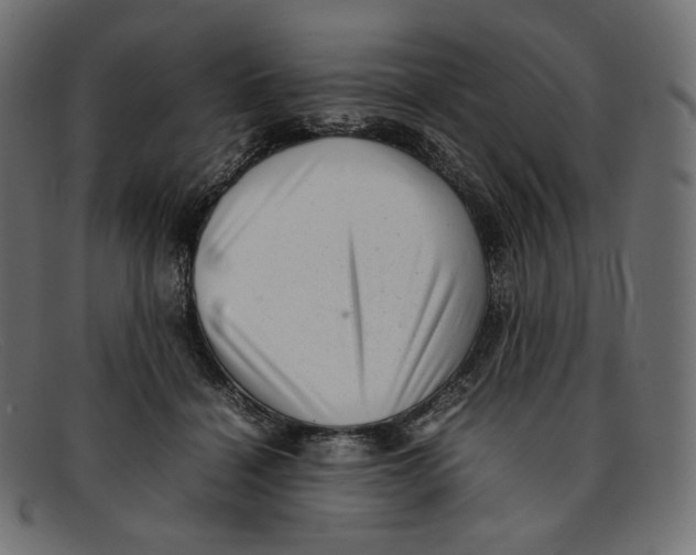 X0000092060460200710101037