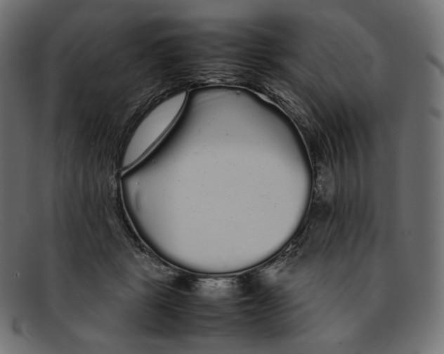 X0000092060461200710101037