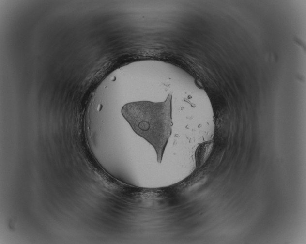 X0000092060462200710101037