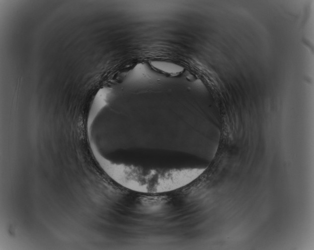 X0000092060465200710101037