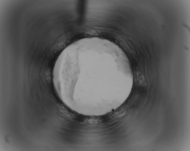 X0000092060466200710101037