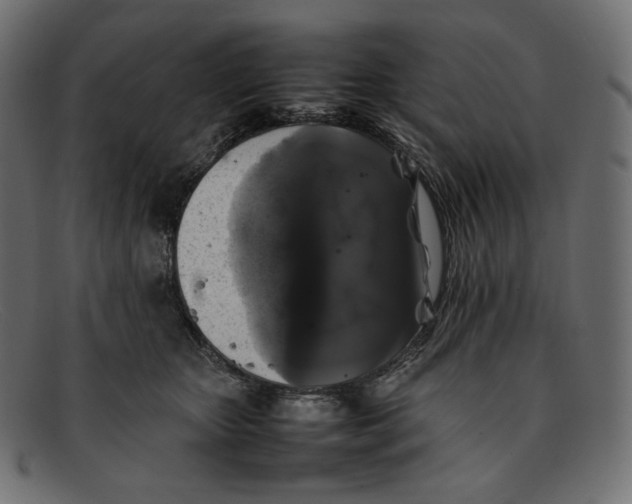 X0000092060467200710101037