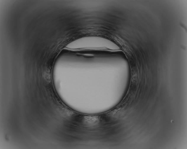 X0000092060469200710101037