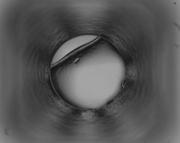 X0000092060470200710101037