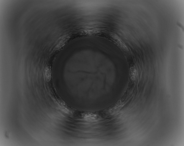 X0000092060471200710101037