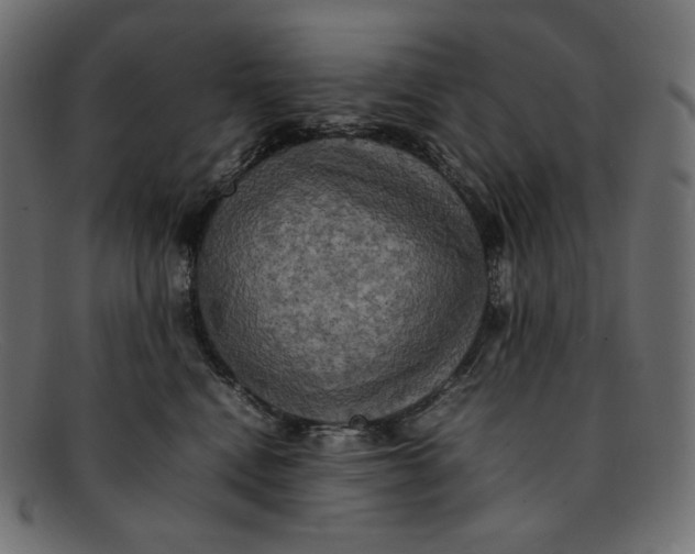 X0000092060472200710101037