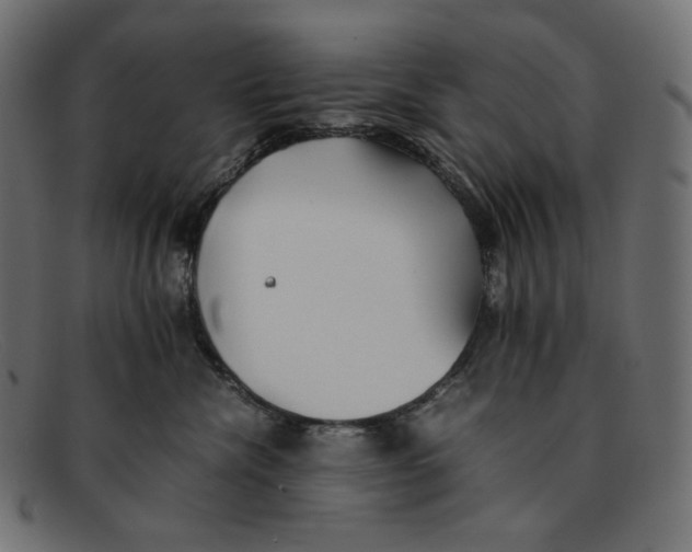 X0000092060476200710101037