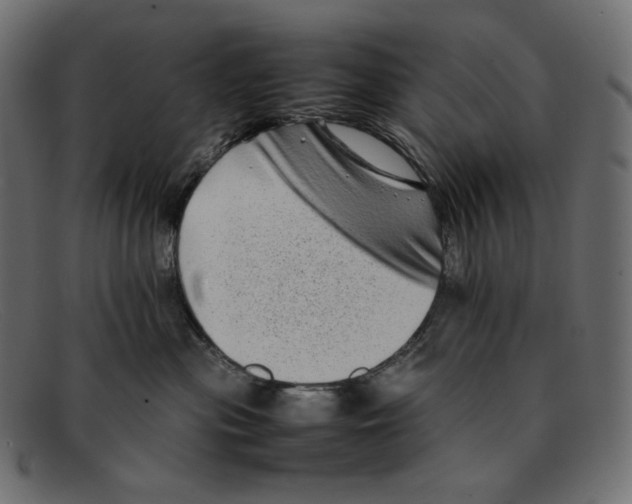 X0000092060477200710101037