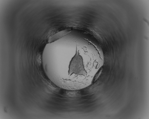 X0000092060479200710101037