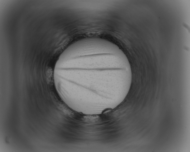 X0000092060480200710101037