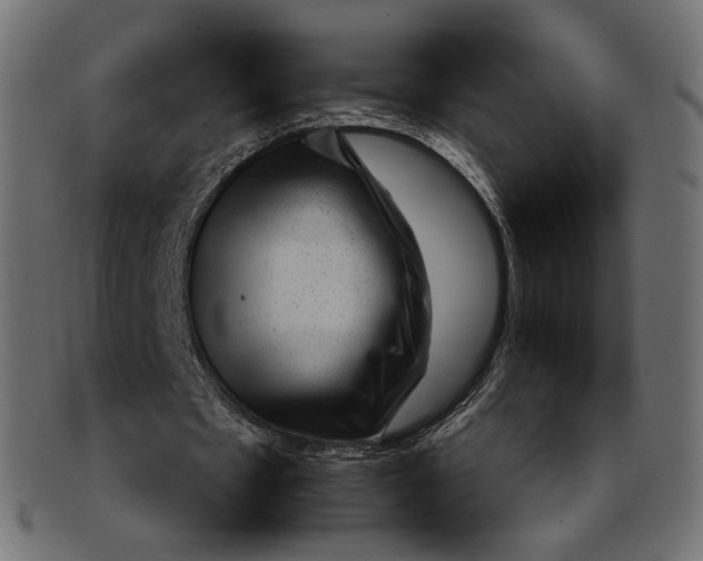 X0000092060481200710101036