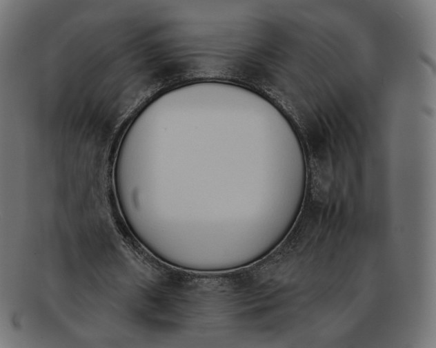 X0000092060482200710101036