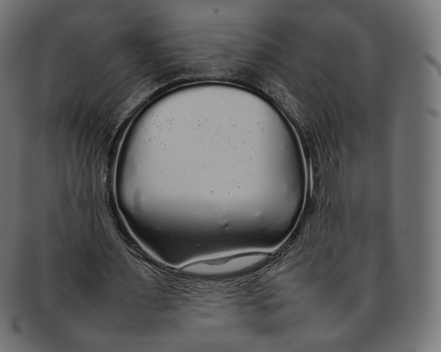 X0000092060483200710101036