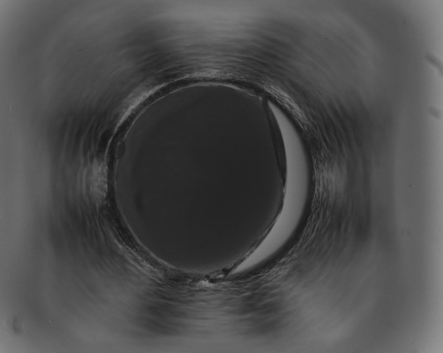 X0000092060484200710101036