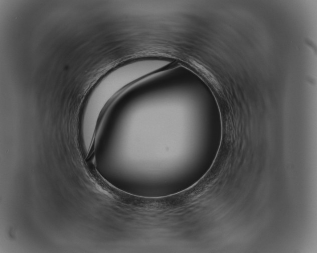 X0000092060485200710101036