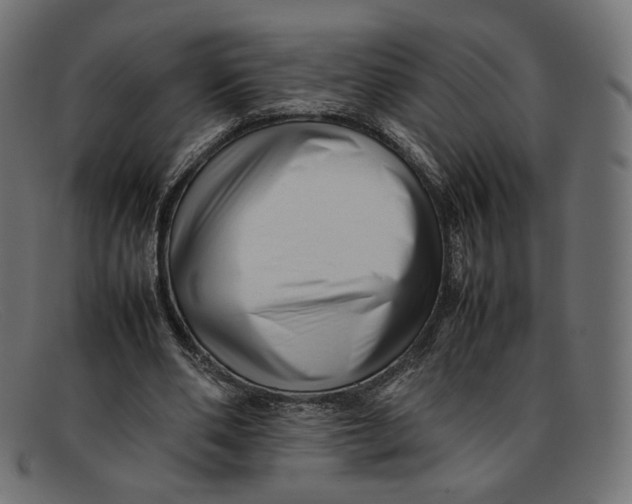 X0000092060486200710101036