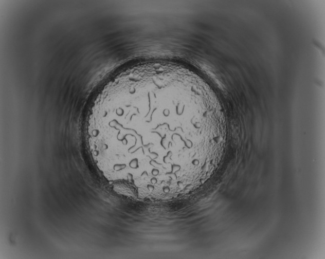 X0000092060487200710101036