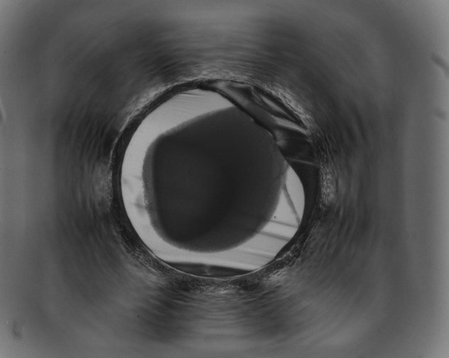 X0000092060488200710101036