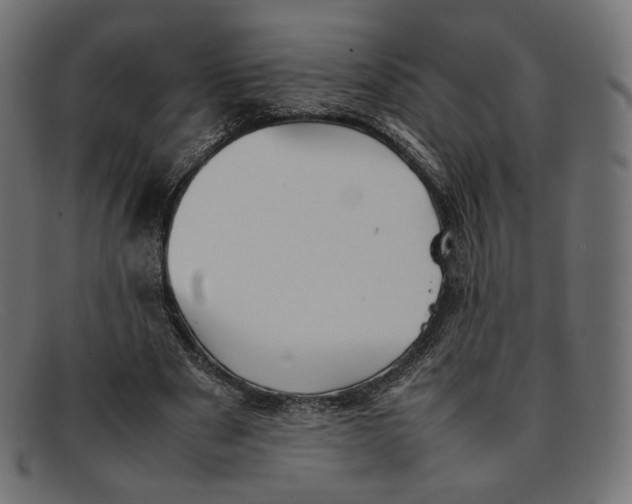 X0000092060489200710101036