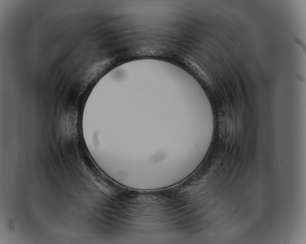 X0000092060490200710101036