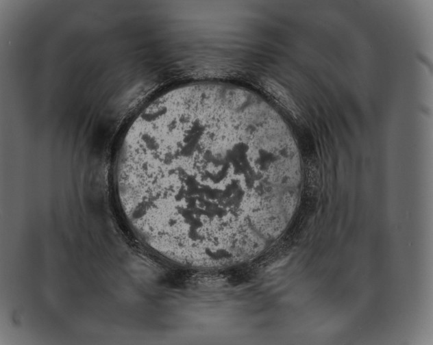 X0000092060491200710101036