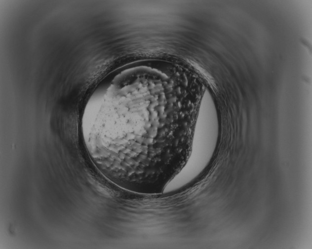 X0000092060493200710101036