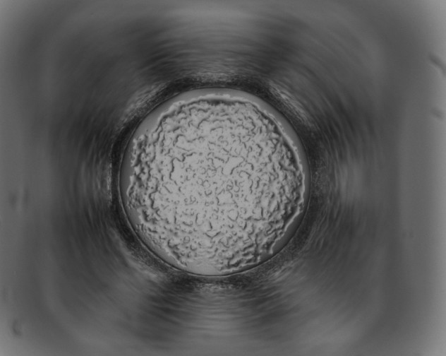 X0000092060494200710101036