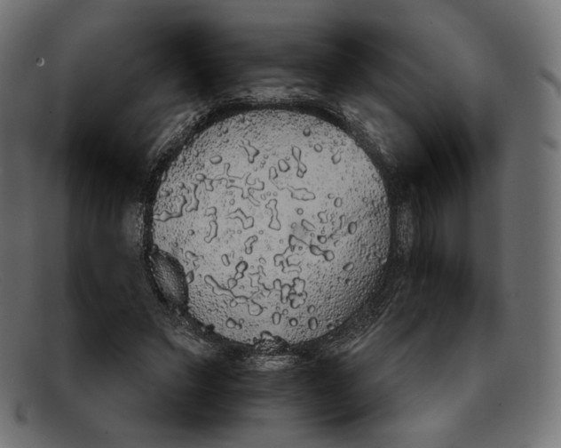 X0000092060495200710101036