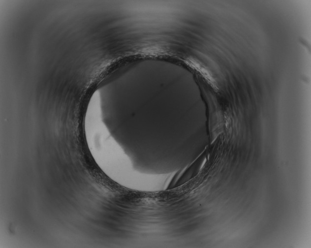 X0000092060496200710101036