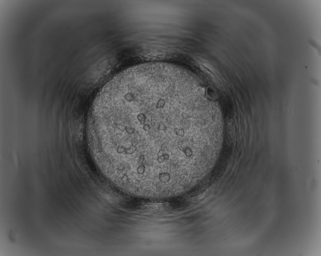 X0000092060499200710101036