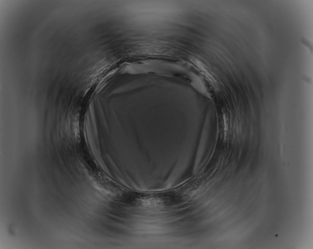 X0000092060500200710101036