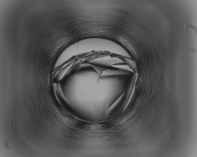 X0000092060501200710101036